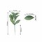 2 Frosted Green 24-Inch Artificial Flocked Lambs Ear LEAVES SPRAYS STEMS